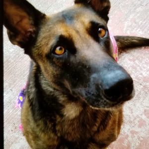 Meet your Posher, Caridad